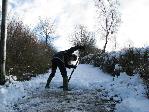 olly clearing snow from the lane