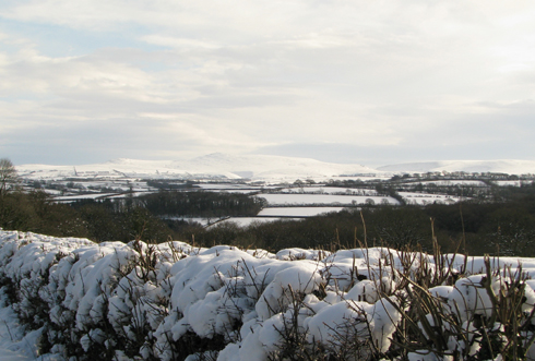 the view across to Dartmoor from the top of our lane